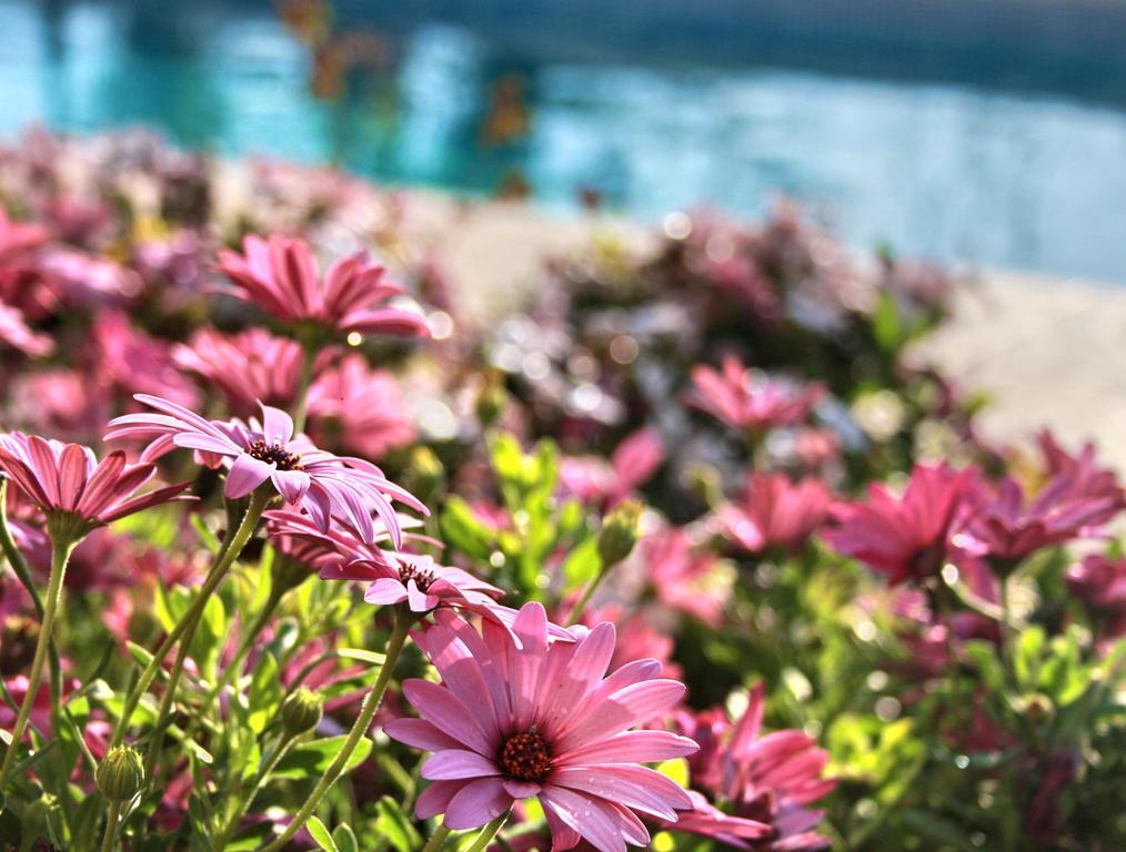 Villa Paradise Paphos Bilik gambar