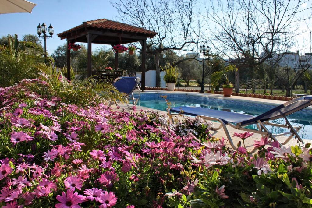 Villa Paradise Paphos Bilik gambar